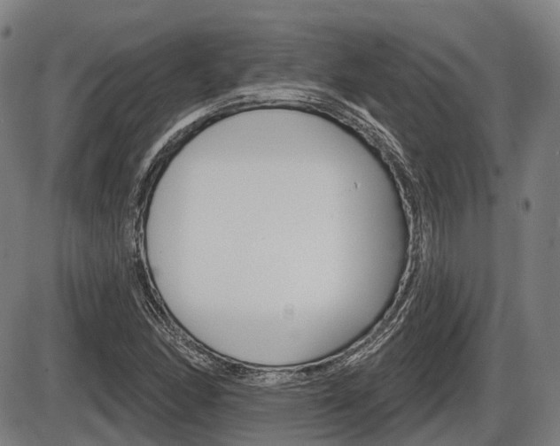 X0000086321166200703300857