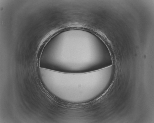 X0000086321167200703300857