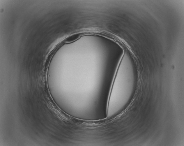 X0000086321168200703300857