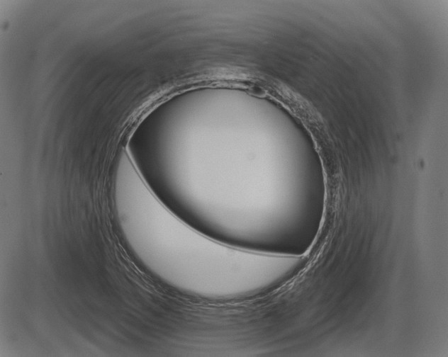 X0000086321169200703300857