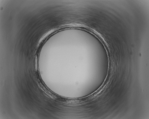 X0000086321171200703300857