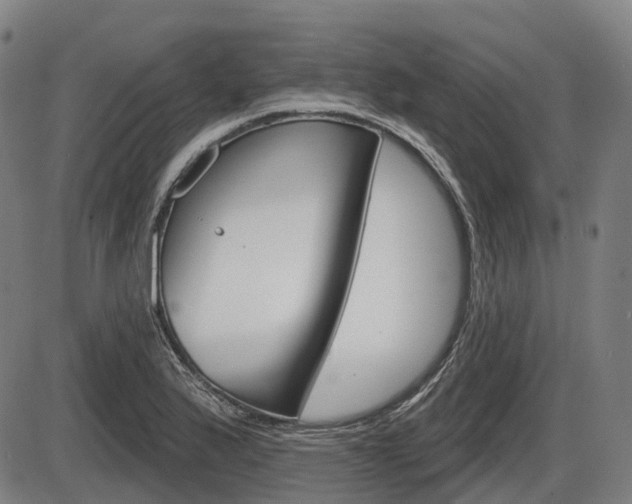 X0000086321175200703300857