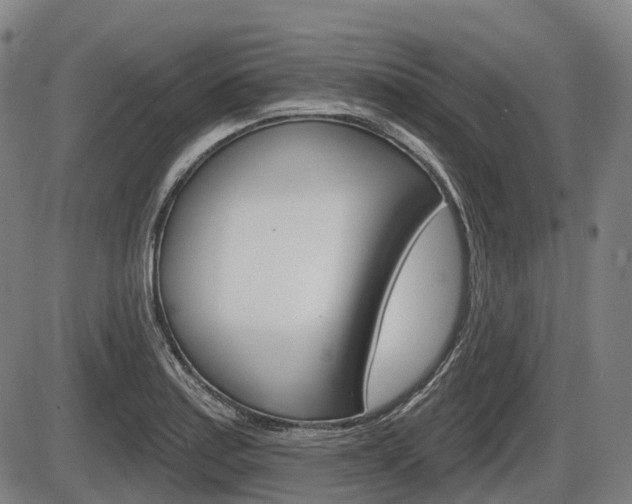X0000086321179200703300857