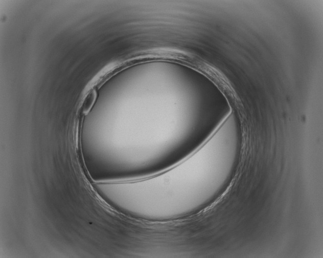 X0000086321180200703300857