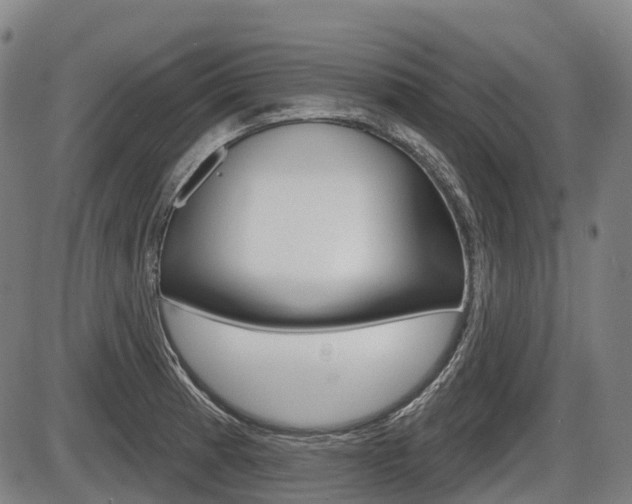 X0000086321185200703300857
