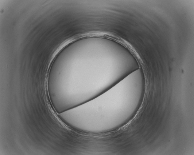 X0000086321186200703300857