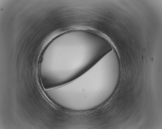 X0000086321187200703300857