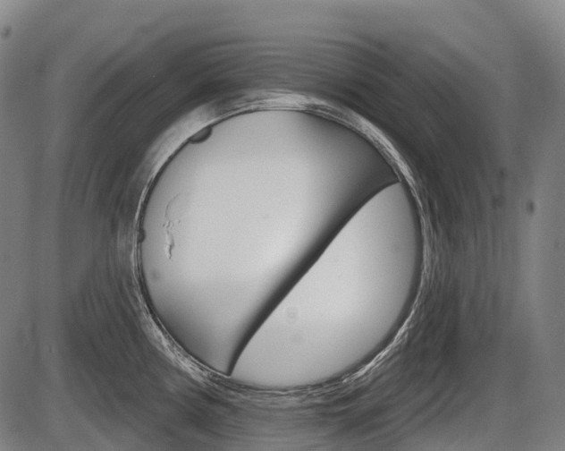 X0000086321194200703300857