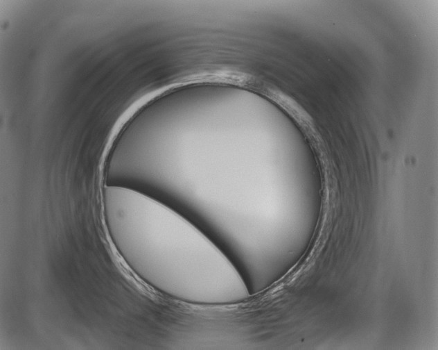 X0000086321200200703300857