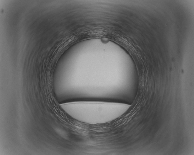 X0000086321201200703300856
