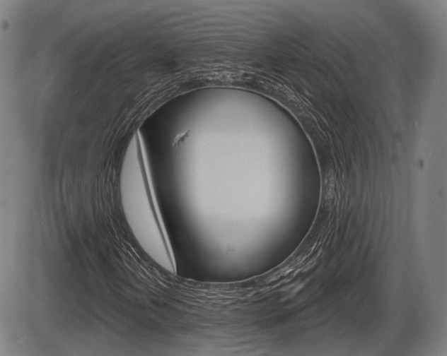 X0000086321202200703300856