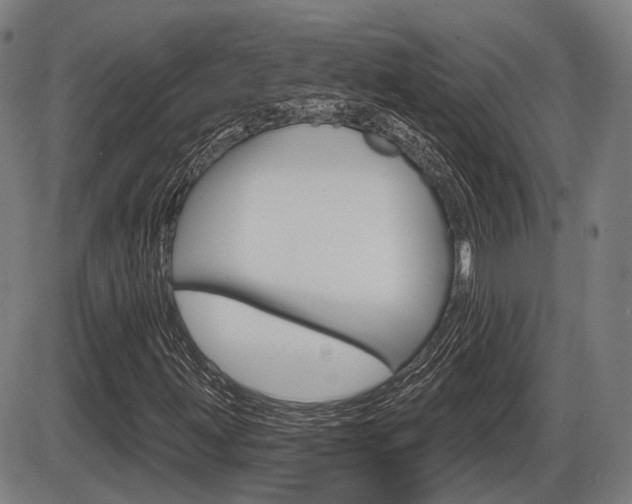 X0000086321203200703300856