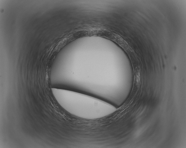 X0000086321204200703300856