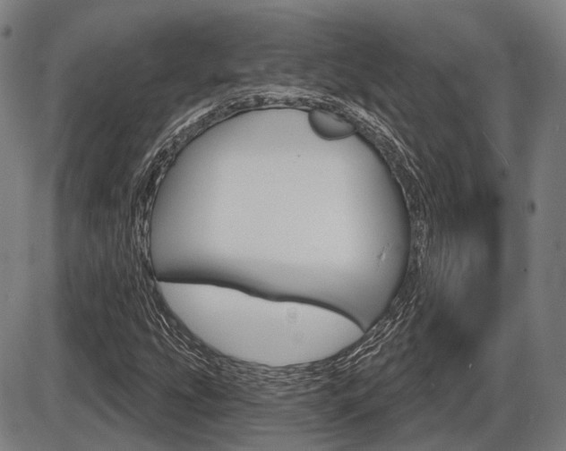 X0000086321207200703300856