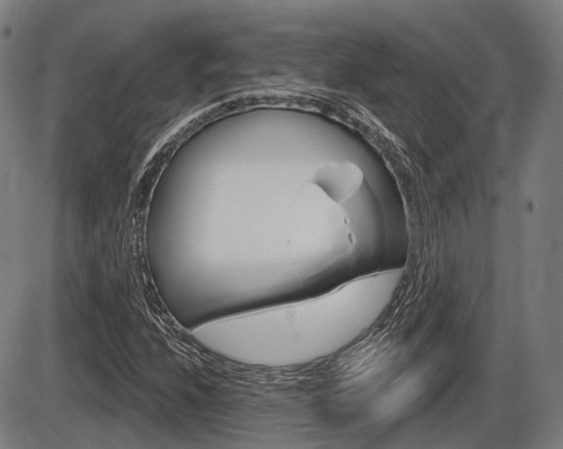 X0000086321208200703300856