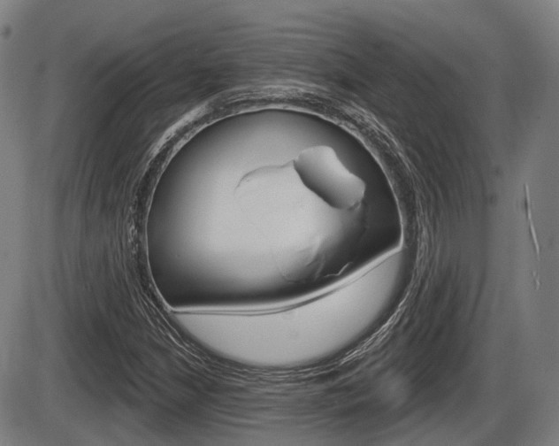 X0000086321210200703300856