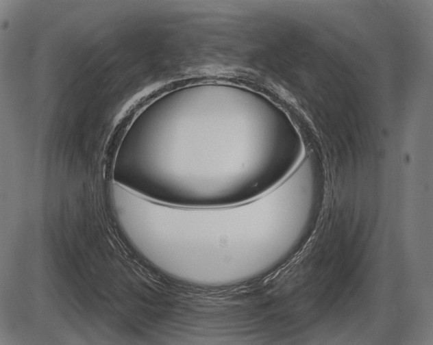 X0000086321214200703300856