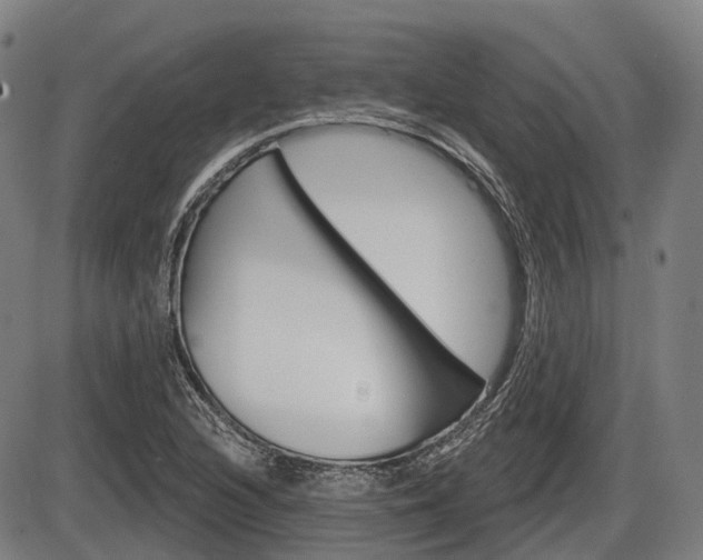 X0000086321216200703300856