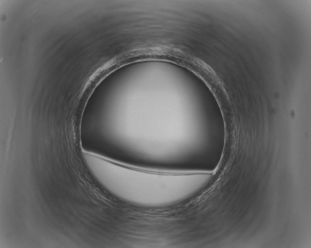 X0000086321218200703300856