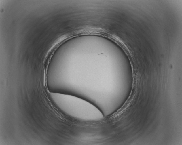 X0000086321219200703300856