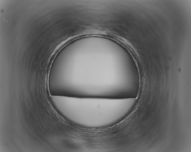 X0000086321220200703300856