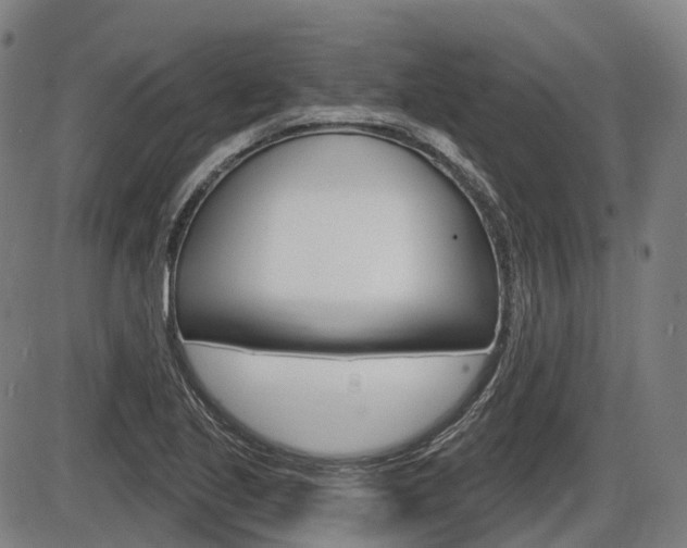 X0000086321221200703300856