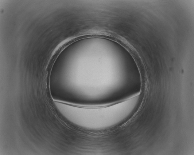 X0000086321222200703300856
