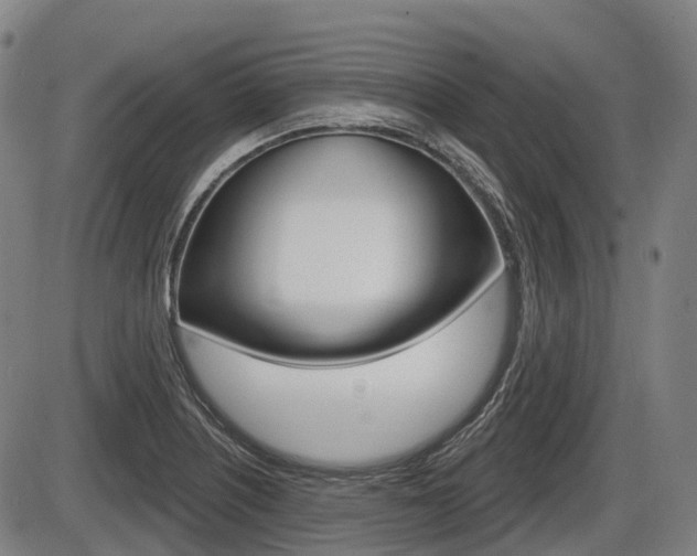 X0000086321226200703300856