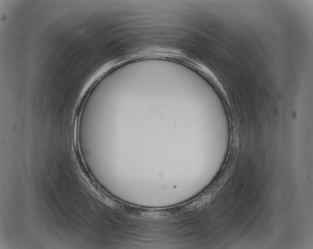 X0000086321227200703300856