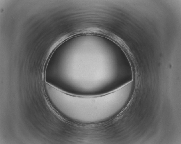 X0000086321234200703300857