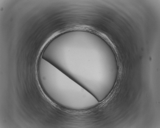 X0000086321235200703300857