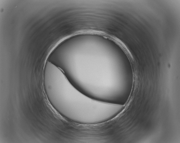 X0000086321244200703300857