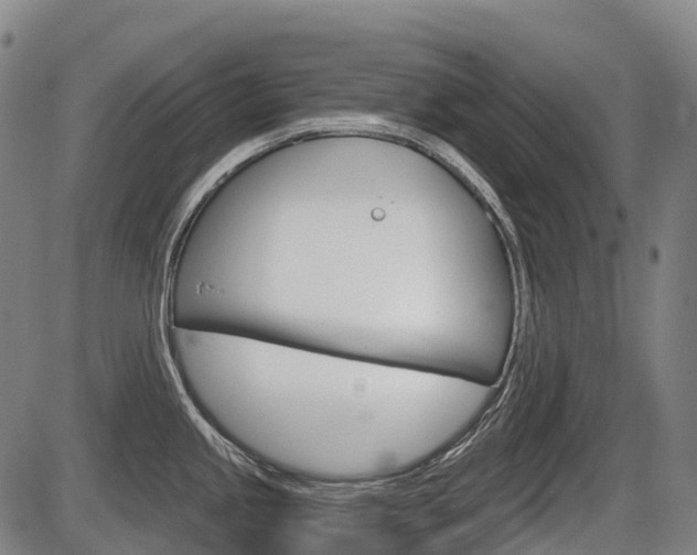 X0000086321245200703300857