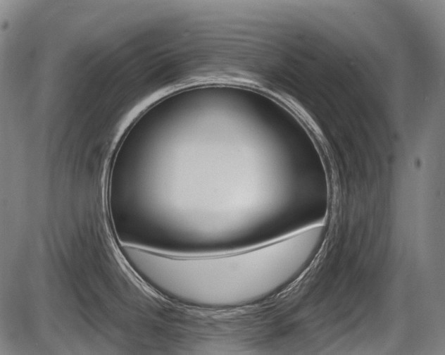 X0000086321246200703300857