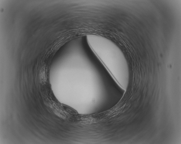 X0000086321250200703300856