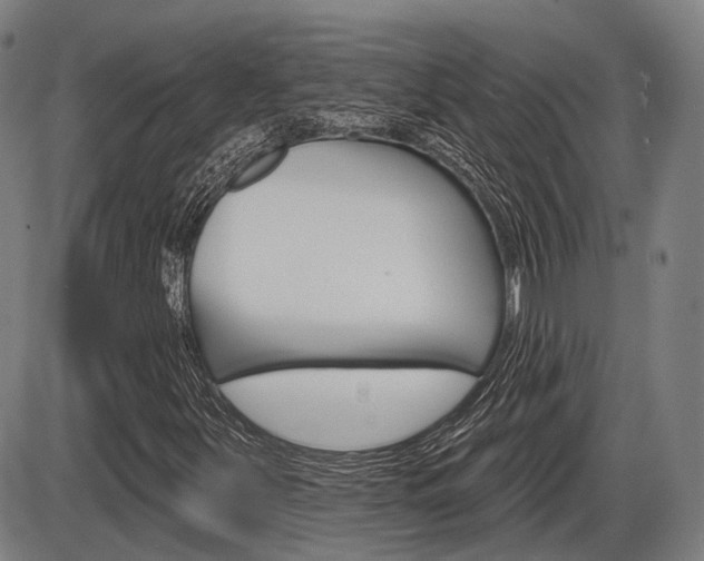 X0000086321251200703300856