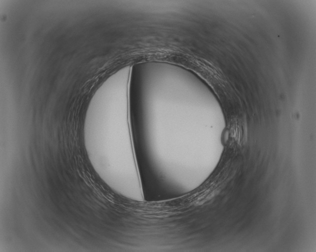 X0000086321252200703300856