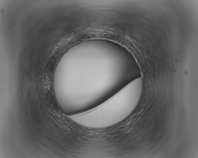 X0000086321253200703300856