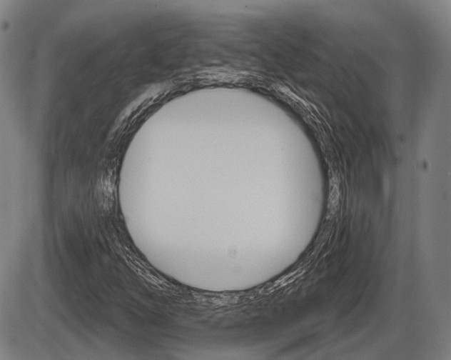 X0000086321254200703300856