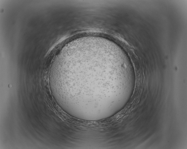 X0000086321255200703300856