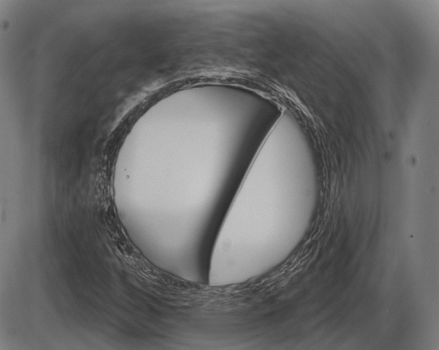 X0000086321256200703300856