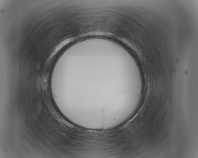X0000086321258200703300856