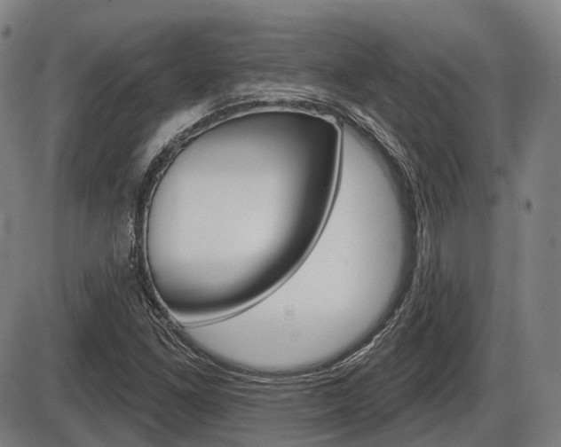 X0000086321261200703300856