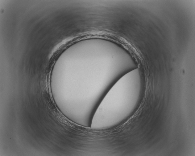 X0000086321262200703300856