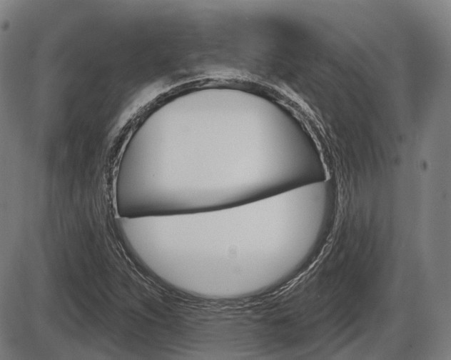 X0000086321263200703300856