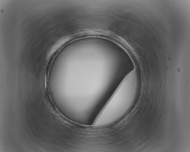 X0000086321269200703300856