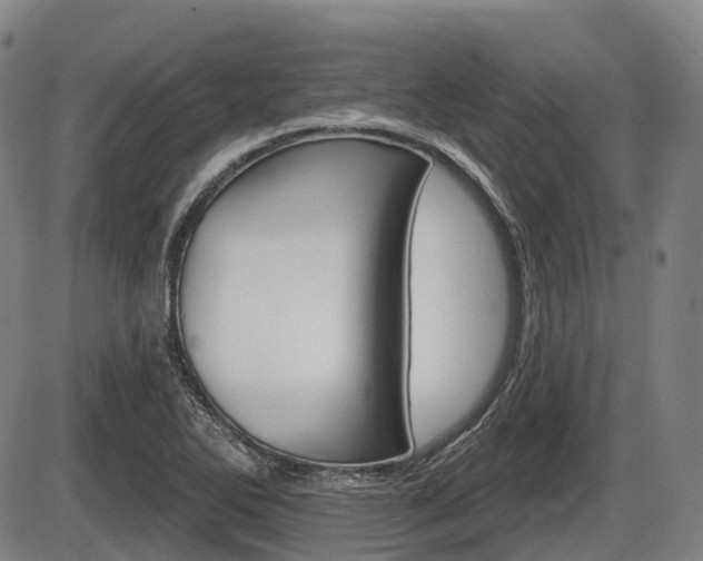 X0000086321270200703300856