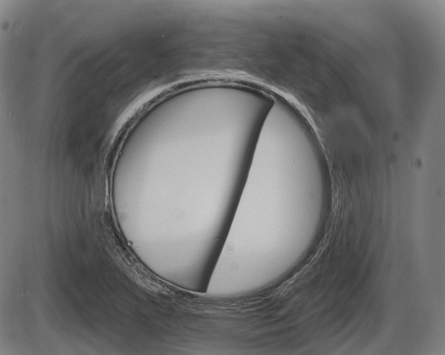 X0000086321271200703300856