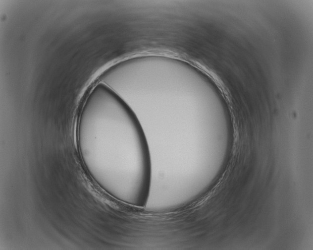 X0000086321272200703300856