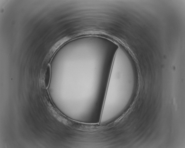 X0000086321273200703300856